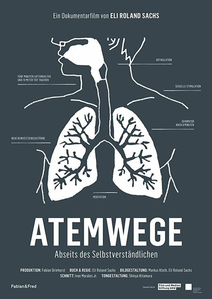 Atemwege: Abseits des Selbstverständlichen (2013) постер