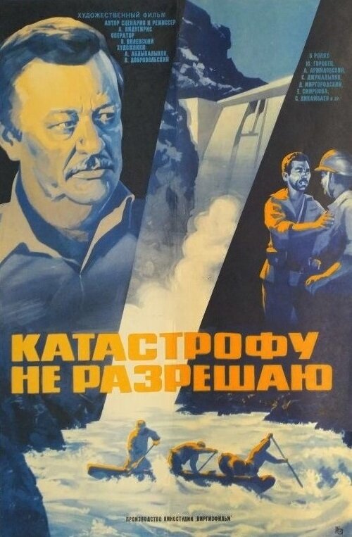 Катастрофу не разрешаю (1985) постер