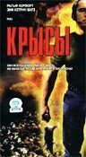 Крысы (2001) постер